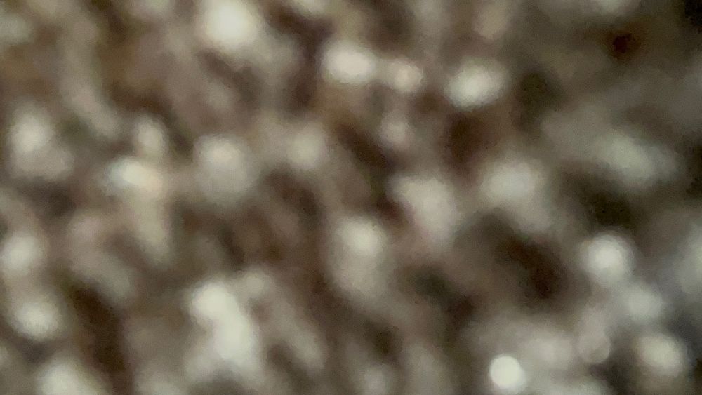 u246410609 OnlyFans profile picture