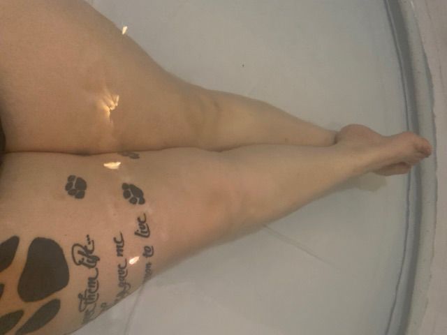 u284486858 OnlyFans profile picture
