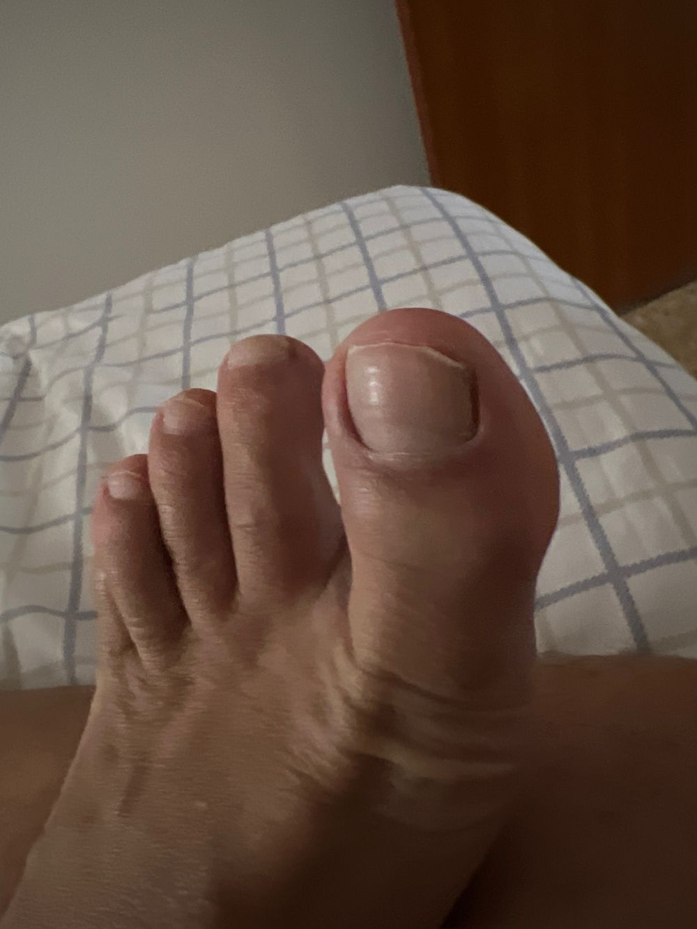 marcpies OnlyFans profile picture