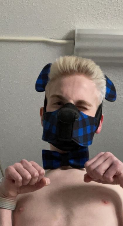 pup0ri0n OnlyFans picture