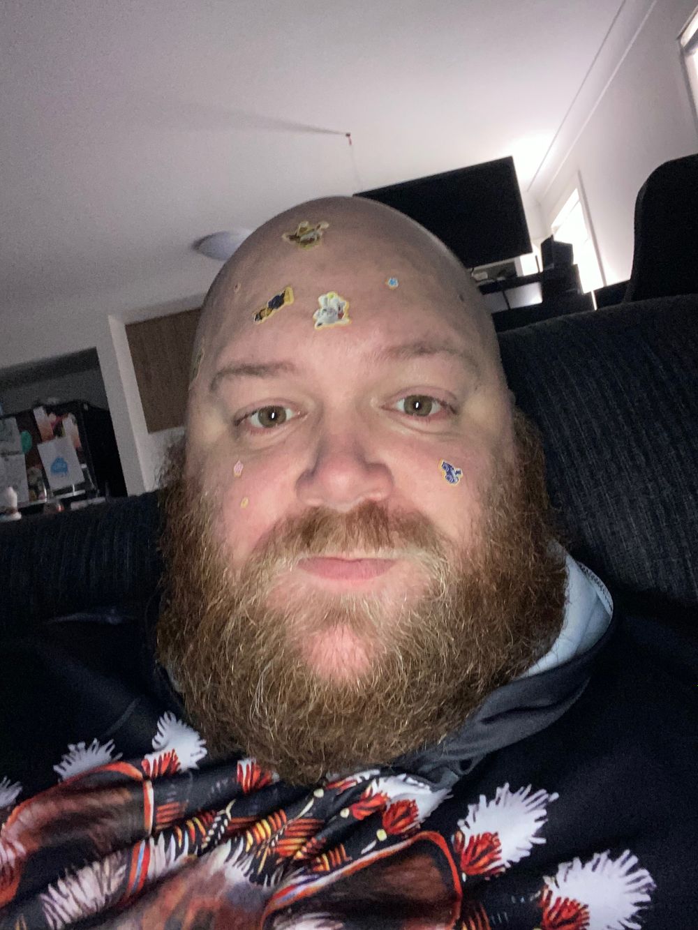 bighairyfun OnlyFans profile picture