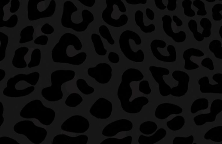 zandcfaa OnlyFans profile picture