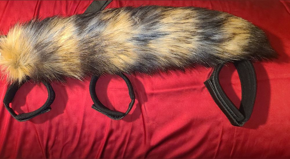 lilraccoon69 OnlyFans profile picture