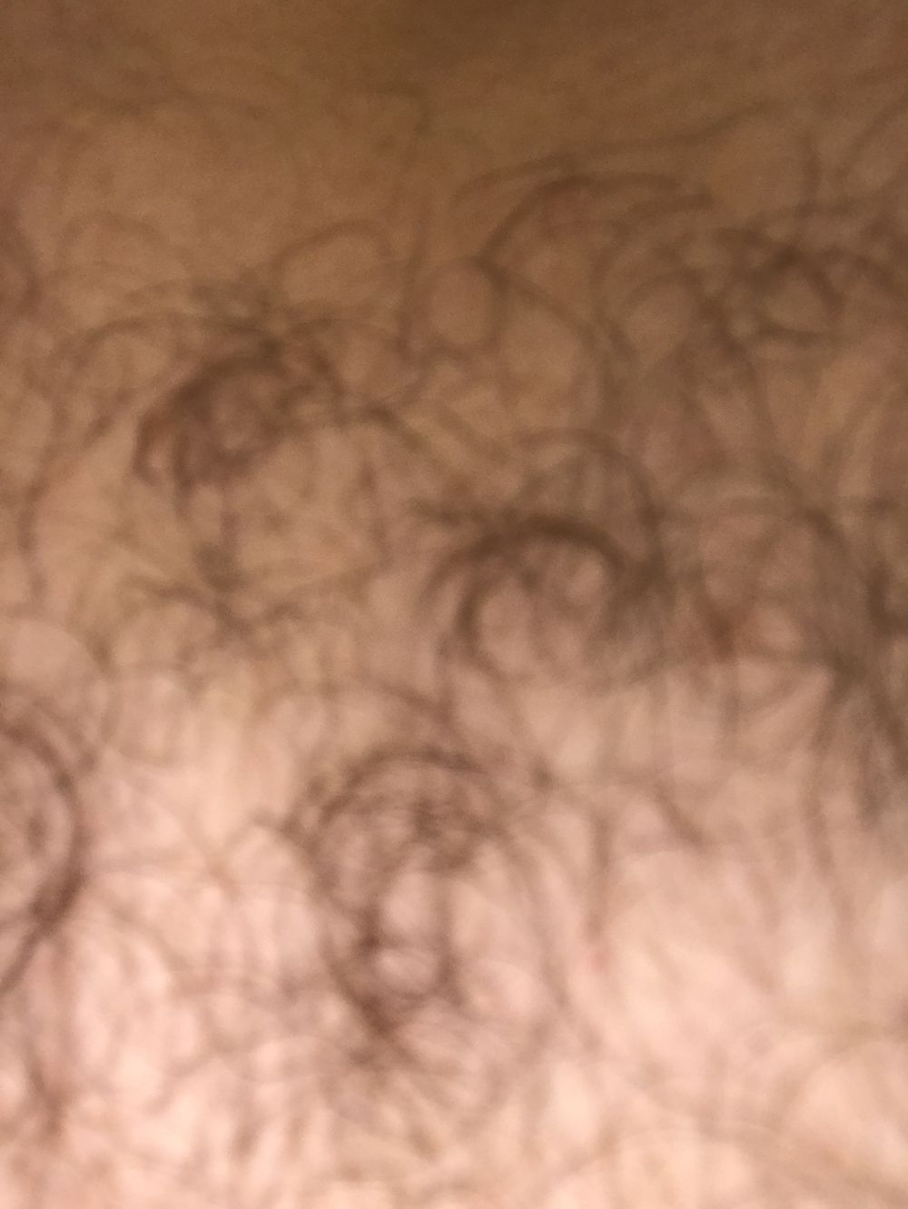 tall_hairy_and_free OnlyFans profile picture