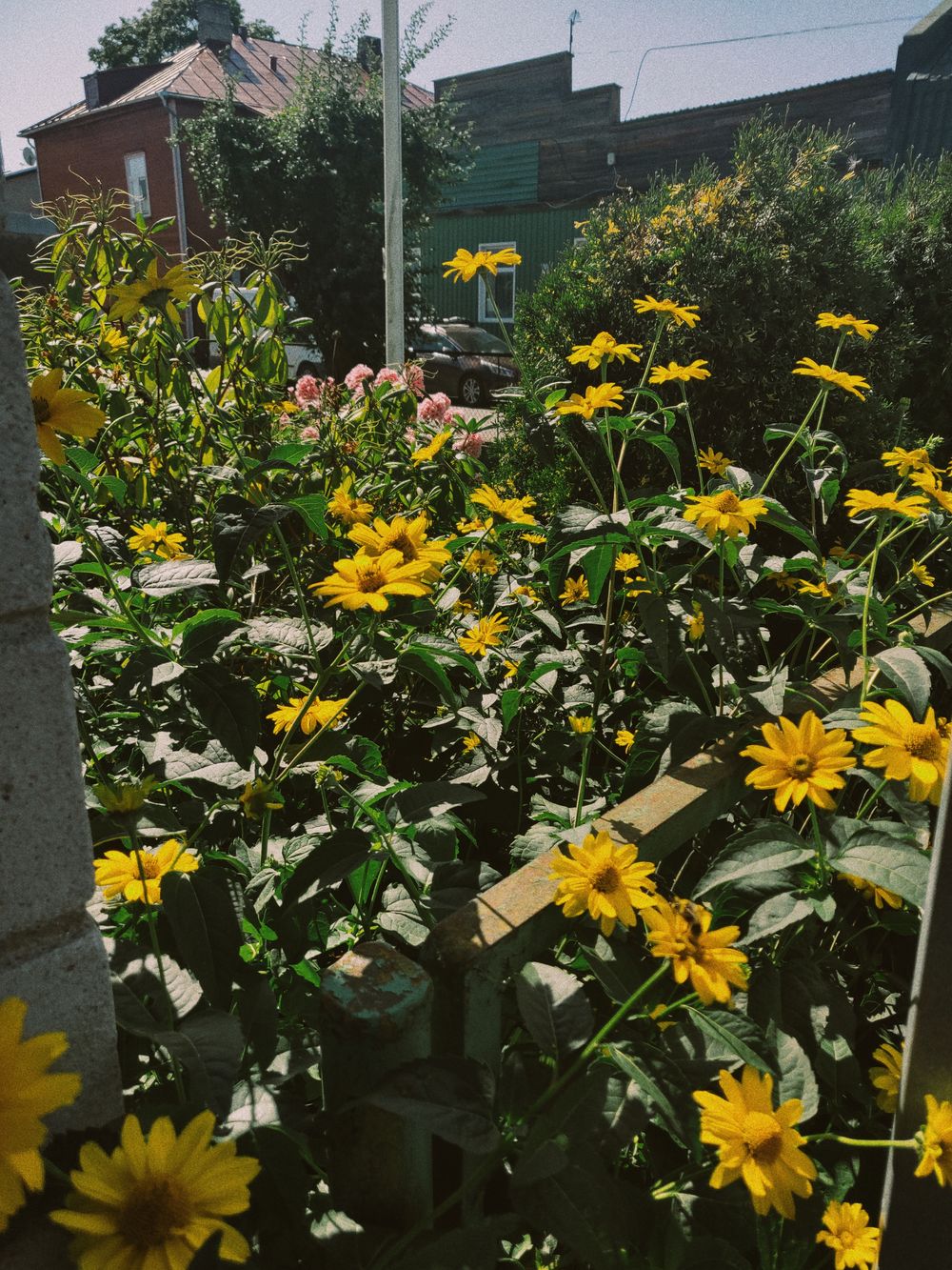 u189933182 OnlyFans profile picture