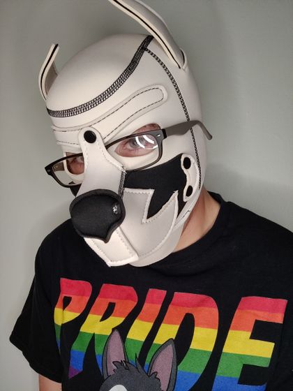 pupdexter OnlyFans picture
