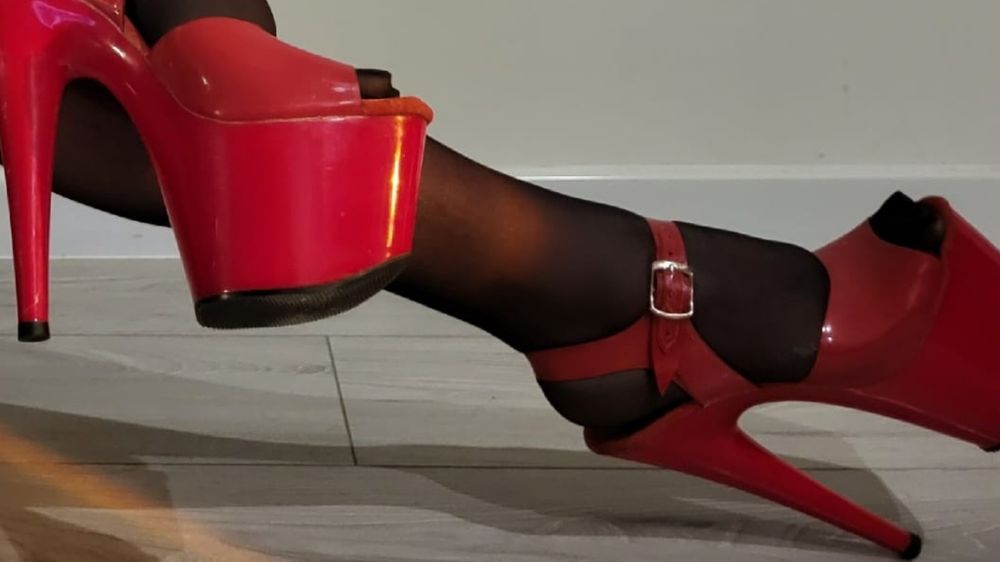 lady.shibari OnlyFans profile picture
