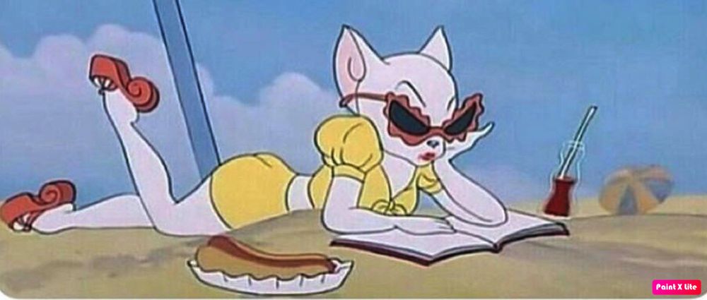 hongkongkitten OnlyFans profile picture