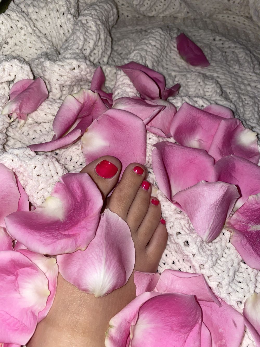 cutiek7 OnlyFans profile picture