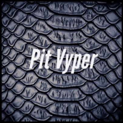 pitvyper OnlyFans profile picture