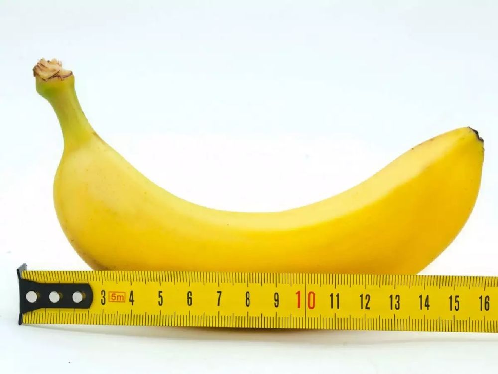 bananabanana19 OnlyFans profile picture