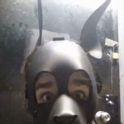 pupweisses OnlyFans picture