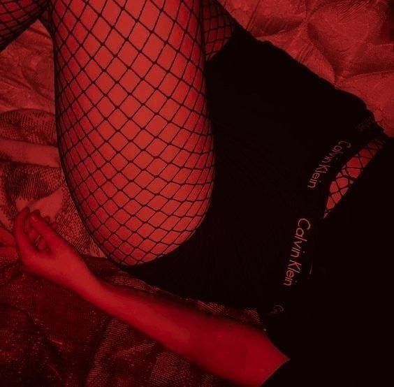 arianitaxx OnlyFans profile picture