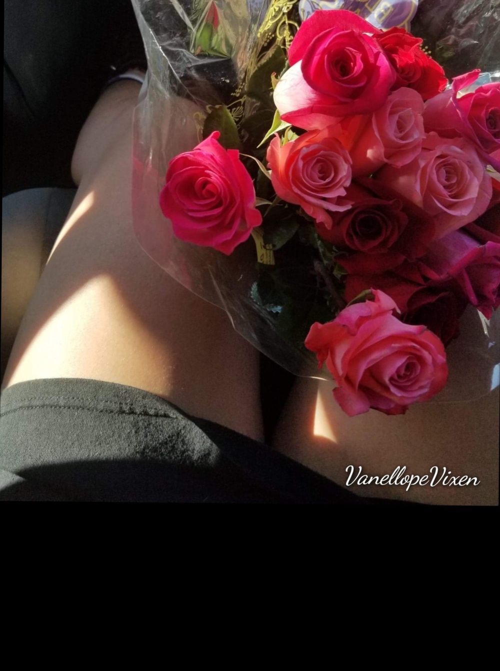 vanellopevixen OnlyFans profile picture