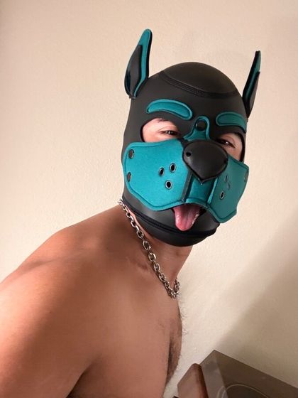 pupspunkyyy OnlyFans picture
