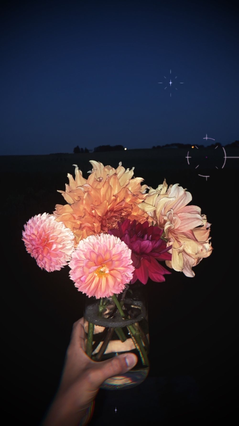 floralfauna OnlyFans profile picture