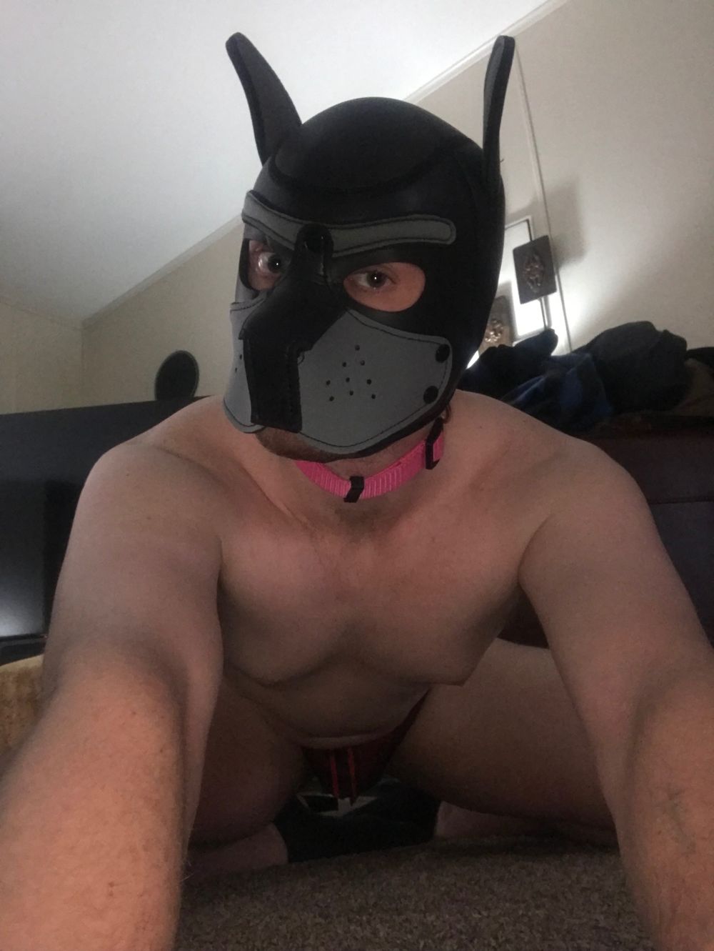 officalpup OnlyFans profile picture