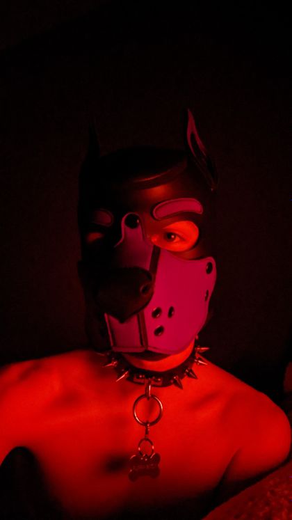 badboxerboy OnlyFans picture