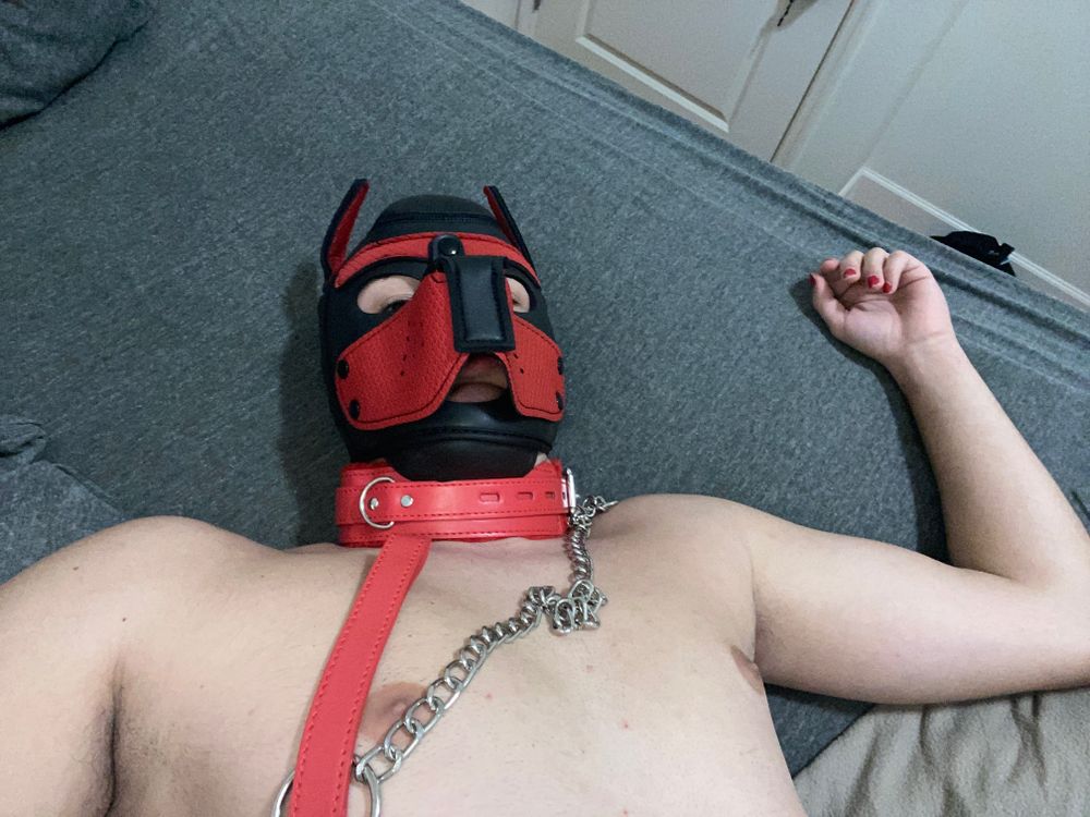 copperpupplay OnlyFans profile picture