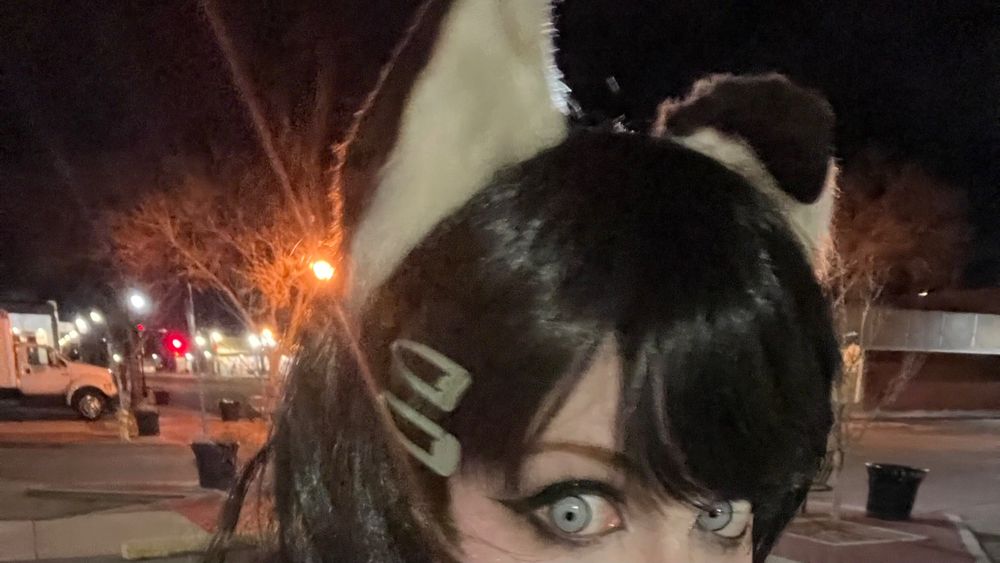dollderp OnlyFans profile picture