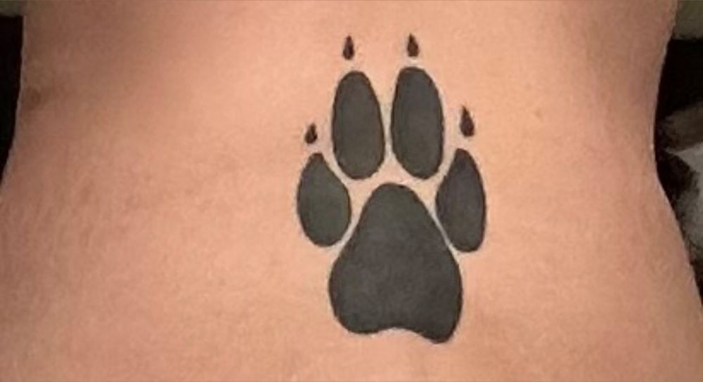 angel-pet OnlyFans profile picture