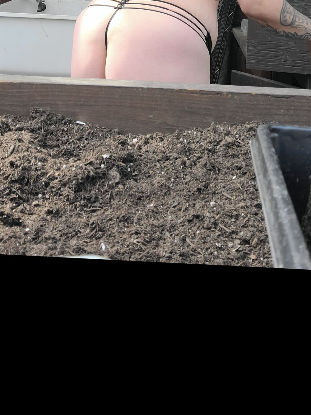ohbbygrl OnlyFans profile picture