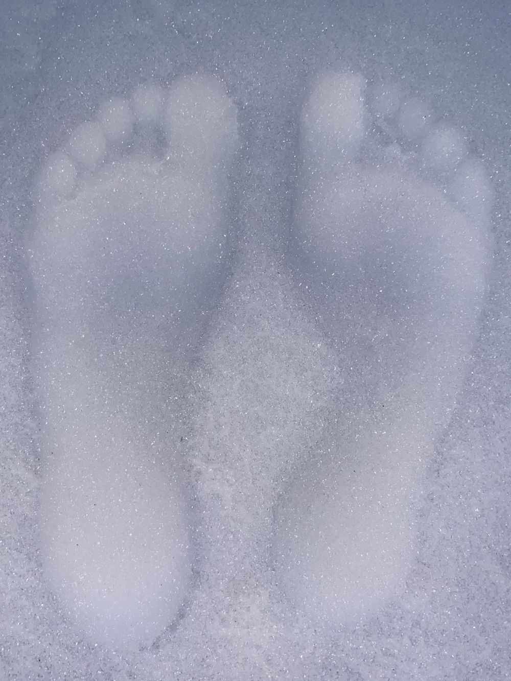 allysfeet777 OnlyFans profile picture