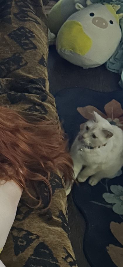 scandycranny OnlyFans picture