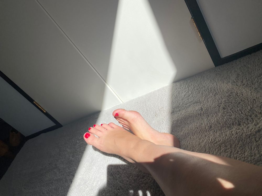 ayla.bardotxx OnlyFans profile picture