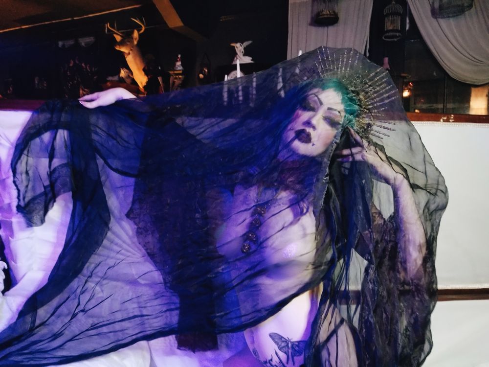 darlingfaeblood OnlyFans profile picture