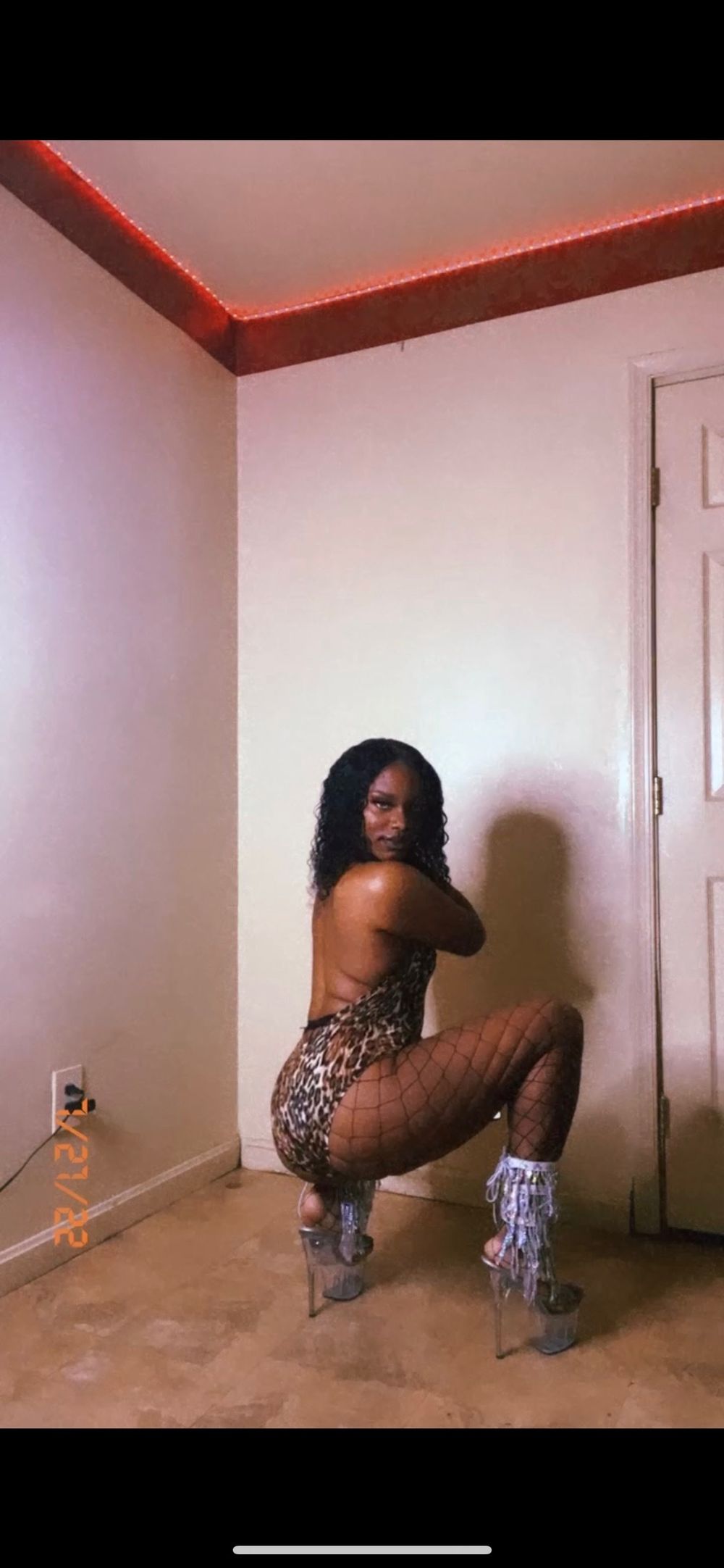 theecenalee OnlyFans profile picture
