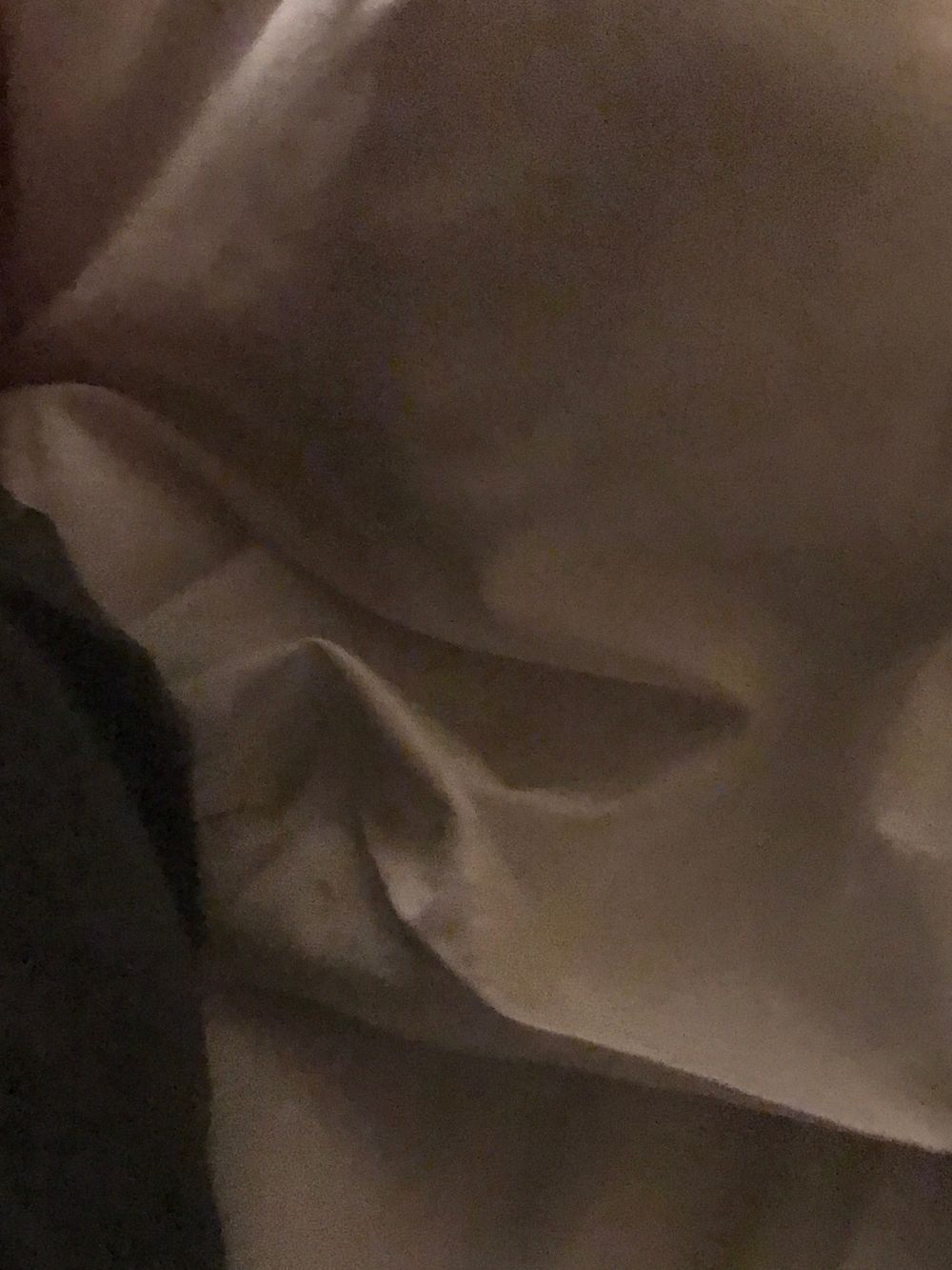 fattyfeetbabe OnlyFans profile picture