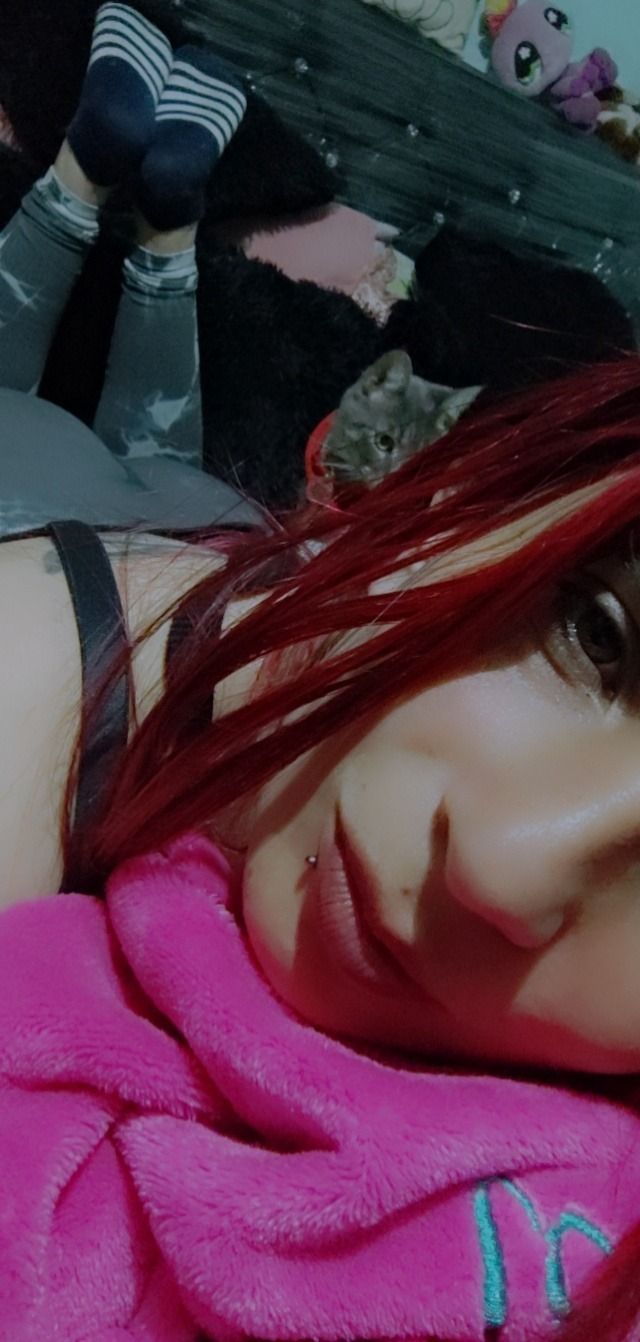 ariwilli OnlyFans profile picture
