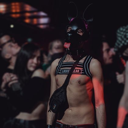 pupmalink OnlyFans picture