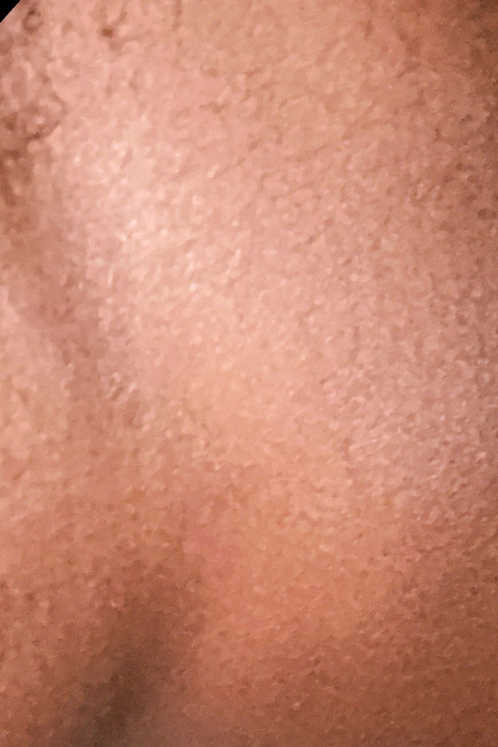 n1eha OnlyFans profile picture