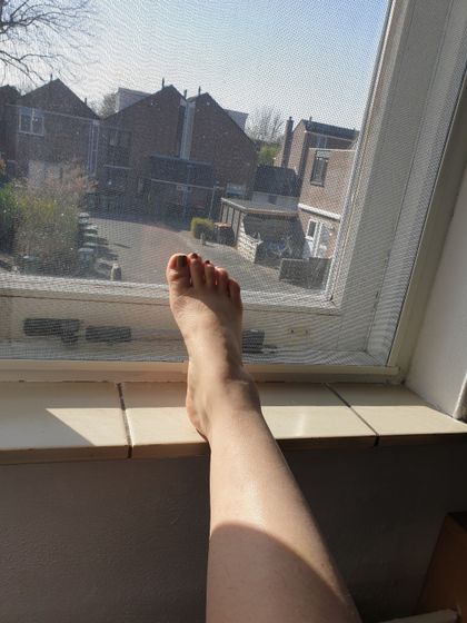 halfthaihalfdutch OnlyFans picture