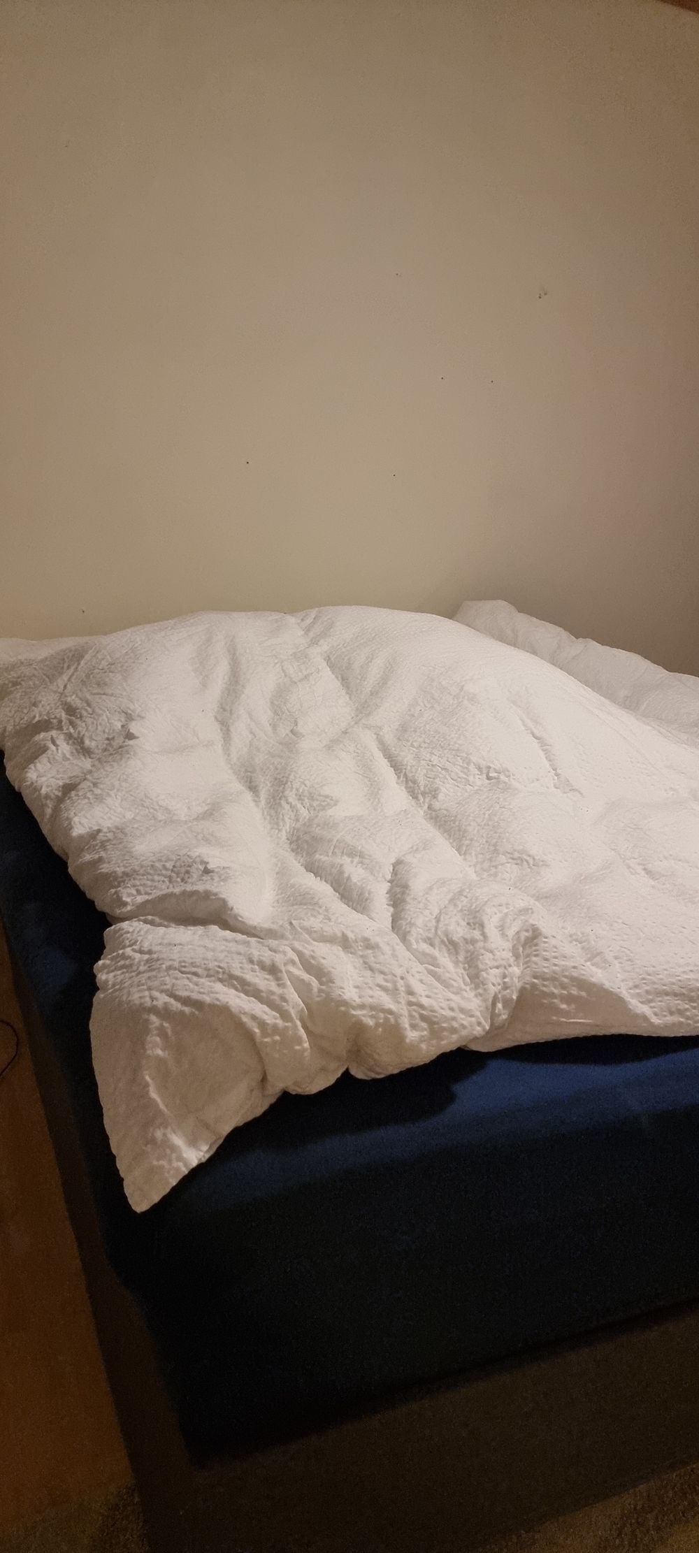 dude920 OnlyFans profile picture