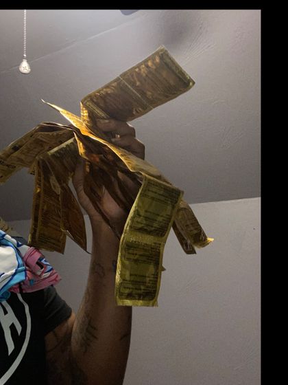 upwardscurve OnlyFans picture