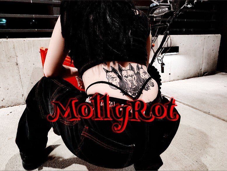 mollyrot OnlyFans profile picture