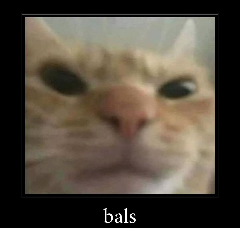 snowkitti OnlyFans profile picture