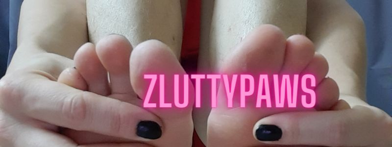 zluttypaws OnlyFans profile picture