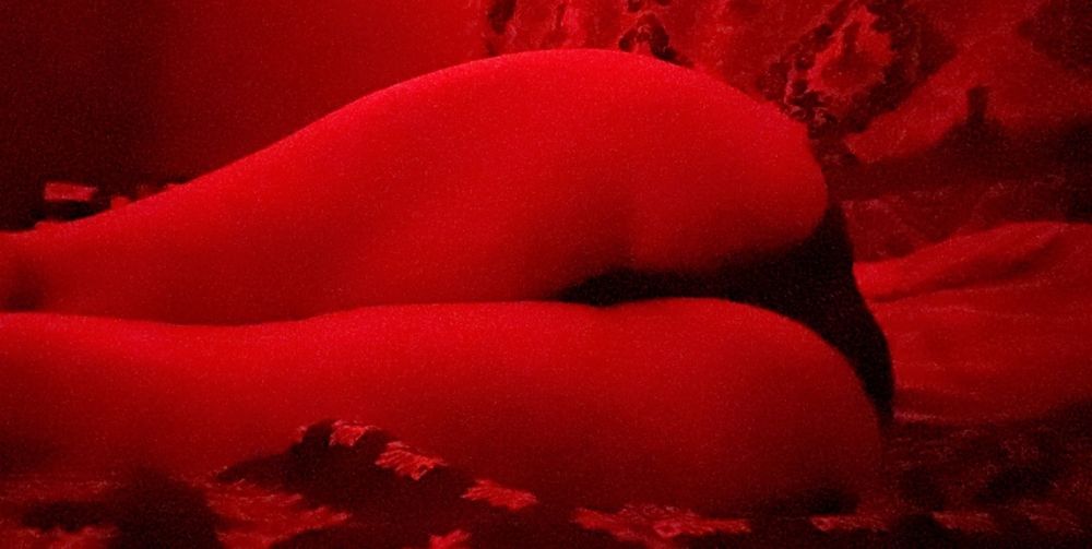 pertybirdie OnlyFans profile picture