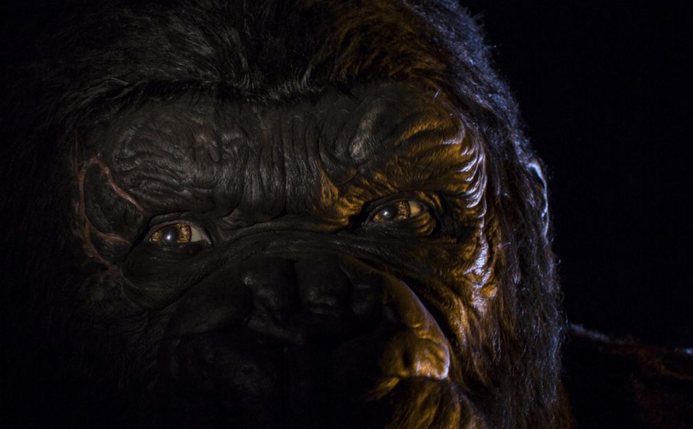 nakedgorilla OnlyFans profile picture