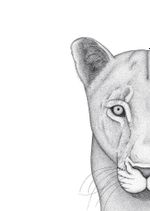 nalla_the_lioness OnlyFans - Free Trial - Photos - Socials ...
