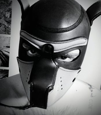 allegedly_brandon OnlyFans profile picture