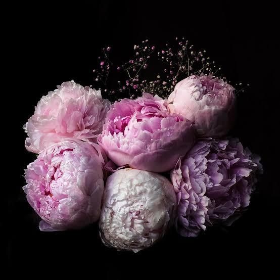 mrstiffanybloom OnlyFans profile picture