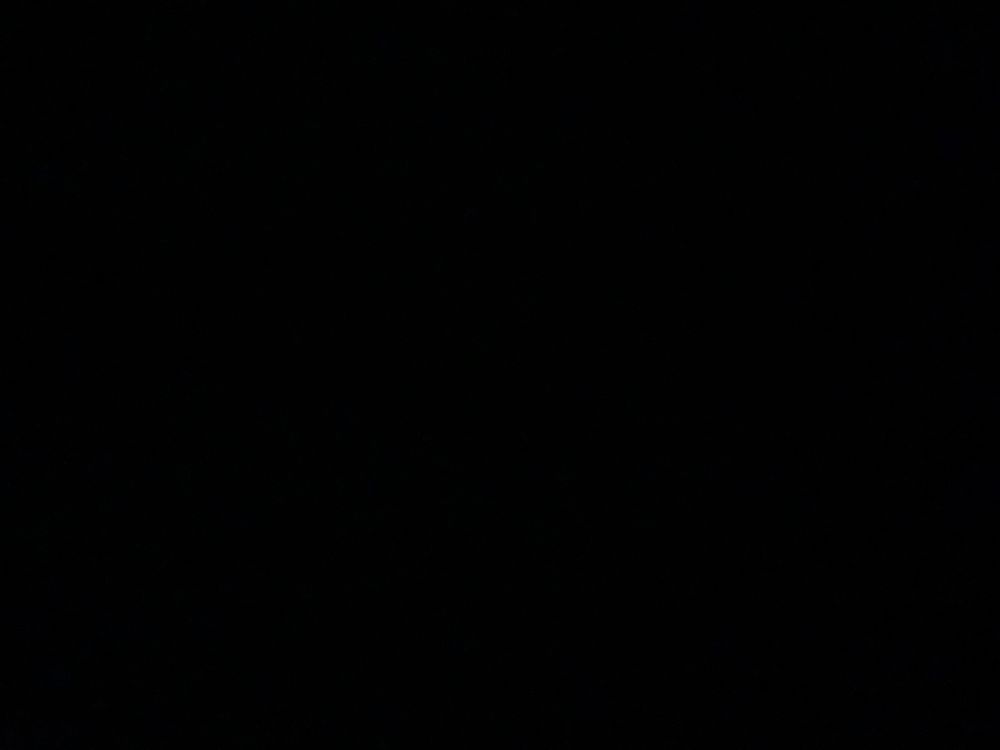 tylertomlin OnlyFans profile picture