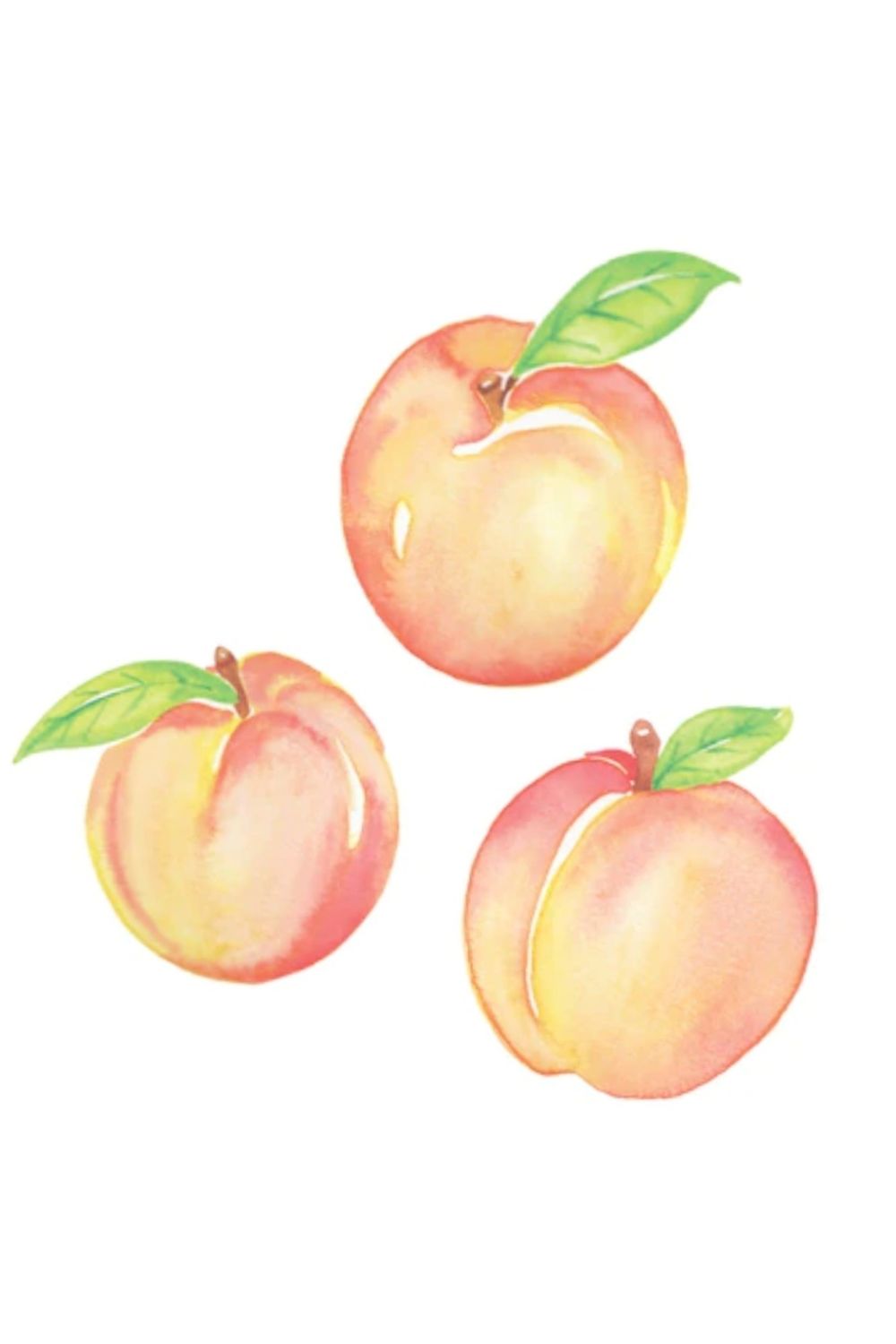 babypeachforyou OnlyFans profile picture