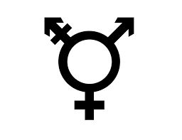 adam.nots OnlyFans profile picture