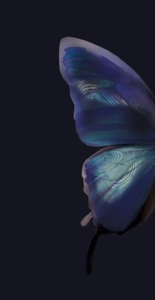 weirdpurplecats OnlyFans profile picture